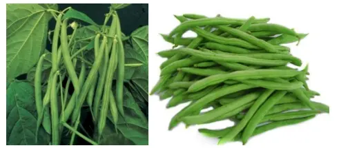 (Nguồn: Ma-lay-xi-a)