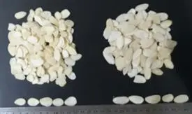 QUẢ HẠNH NHÂN ĐÃ CHẦN
