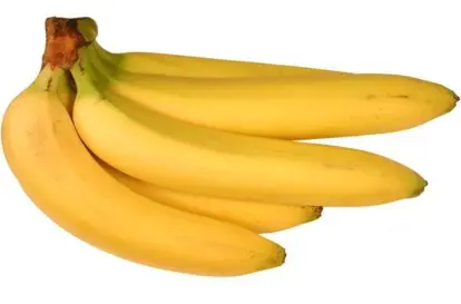 Nguồn hình ảnh: https://bibitbunga.com/product/tanaman-pisang-cavendish/ (Nguồn: Ma-lai-xi-a)
