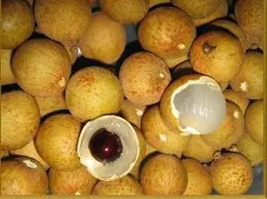 (Nguồn: Ma-lai-xi-a)