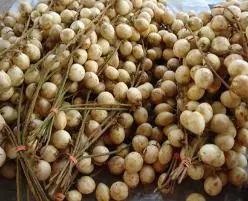 (Nguồn: Ma-lai-xi-a)