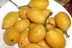Hình minh họa SEN