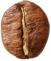 CÀ PHÊ ROBUSTA