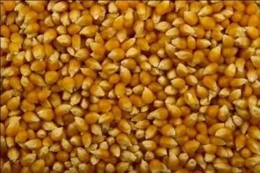 (Nguồn: Phi-líp-pin)