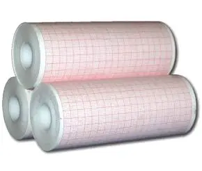 GIẤY ĐÃ IN, DÙNG CHO MÁY GHI TỰ ĐỘNG