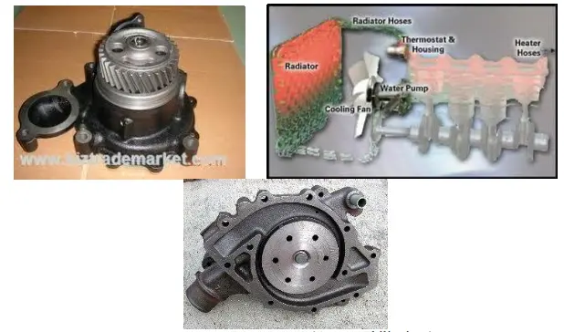 (Nguồn: Phi-líp-pin)