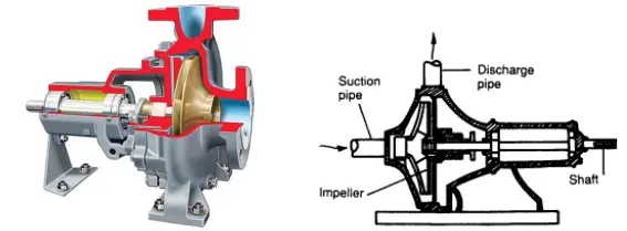 (Nguồn: Phi-líp-pin)
